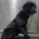 고명리 마을회관 이미지