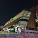 [서울 고속터미널/고터꽃시장] 9월 화훼상가 꽃 도매시장 방문 추석연휴 휴무 일정