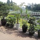 춘양보건지소 이미지