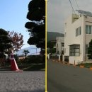 사림민원센터 티스토리