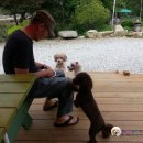 개울건너 펜션 이미지