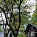 아리조나카페&매점 이미지