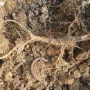 지석농장 이미지