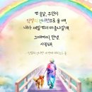 나의 반려견 이미지