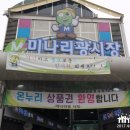 미나리광 이미지