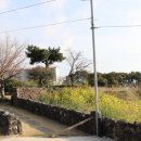 소도락하우스 이미지