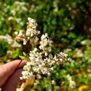 상상농장 이미지