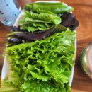 보람식당