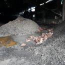 태림농장 이미지