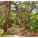 태조대왕태실 이미지