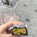 류씨네 네이버블로그