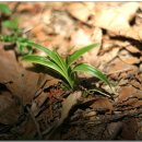 수정4동초소 이미지