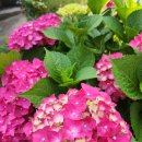 세븐일레븐 군산미장지구점 | 군산 미장지구 대원칸타빌 아파트 이사준비는 줄눈시공으로 시작합니다.