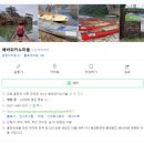 모과나무충전소 | 경기도 양평) 여름휴가 알차게 보내기 _ 1 (연화도감 / 스테이246 / 양평양떼목장 )