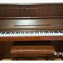 신월동118 이미지