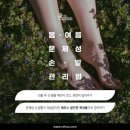 레푸스제주