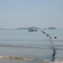 바다사랑 민박 이미지