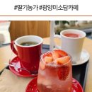 미소담농장 이미지