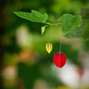 유식물원 이미지