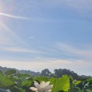 백연농장 이미지