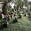 석부작박물관 이미지