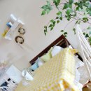 봄을꿈꾸는카페 이미지