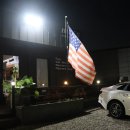 팁시카우 이미지