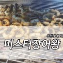 미스터장어