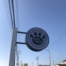 아리댕댕애견카페 이미지