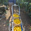 고림농장 이미지