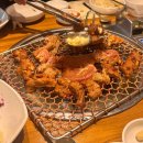 Z PC 신흥점 이미지