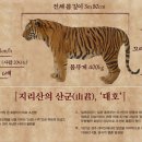 대호 이미지