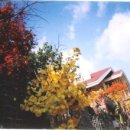 파루시아 이미지