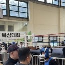 복싱트라이브 이미지