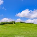 주경목장 이미지