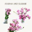 투제이 플라워 택배 꽃 수령 후기
