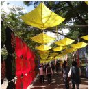 대한인사행정사 이미지