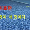 117해(解) 삼명통회 해독 6권 녹원호환 141p 이미지