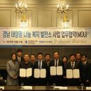 써니플랜트 이미지