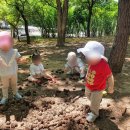 백산어린이집 - 양산시 | 백산어린이집
