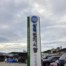 번개시장 화장실 | 삼척 번개시장 오징어회 내돈내산 | 새벽시장 방문 후기