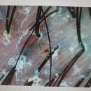 이수케어 이미지