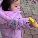 베베드피노원주점 이미지