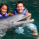 돌고래 PC 이미지