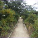 둘레길7구간 이미지