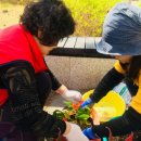 서창LH12단지 이미지