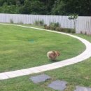 두푸딩하우스 이미지