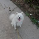 기역농장 이미지