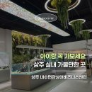 애터미 상주중앙센터 | [공지] 상주 여행 아이와 실내 가볼만한곳 내수면관상어비즈니스센터 관상어 전시 후기
