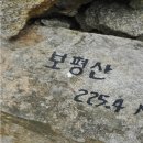 함평나비(무안) 이미지